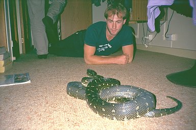 Snake in room
