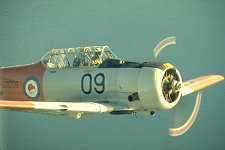 NZRAF - Red Arrow Squadron